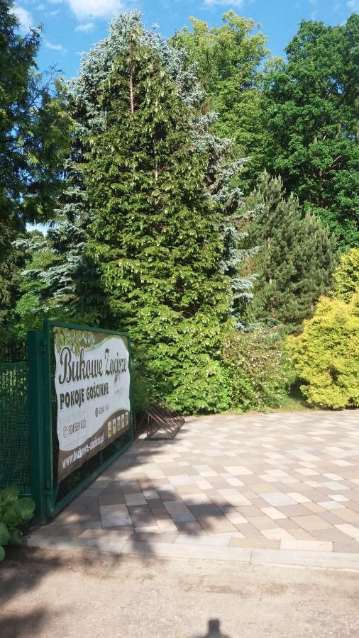 Bukowe Zacisze Apartamento Gąski Exterior foto